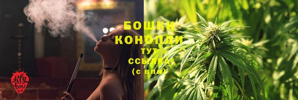 spice Горнозаводск