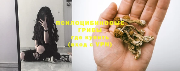 прущая мука Горняк