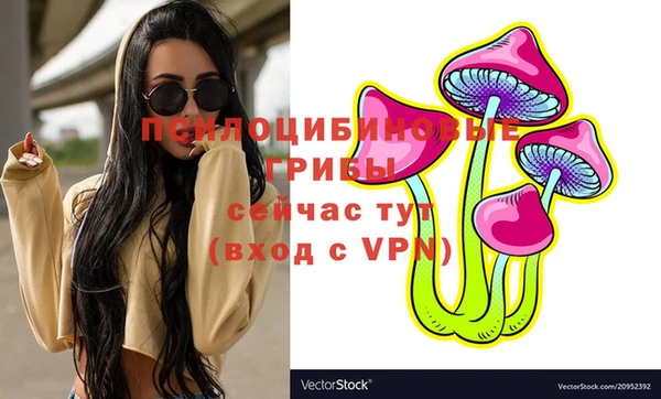 spice Горнозаводск