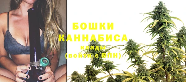 spice Горнозаводск