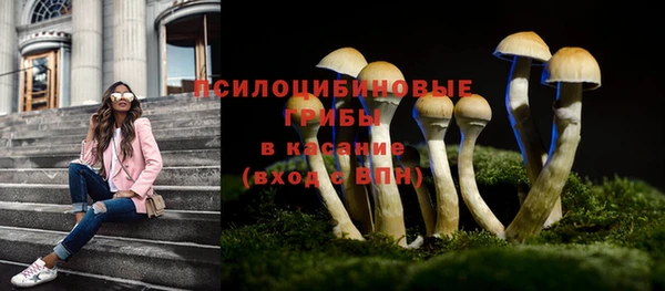 прущая мука Горняк