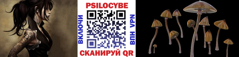 Псилоцибиновые грибы Magic Shrooms  Купить где  Воскресенск 